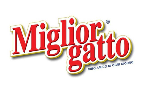 MIGLIOR GATTO